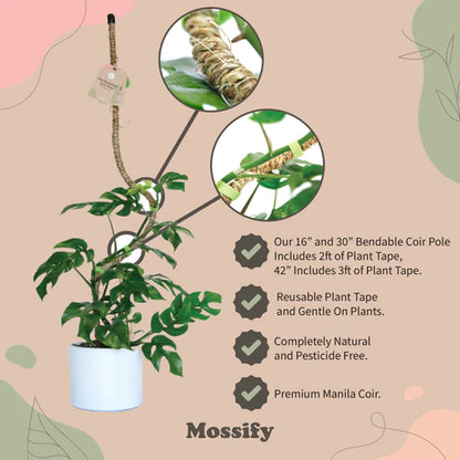 Mossify Bendable Poles (Moss/Coco Coir)