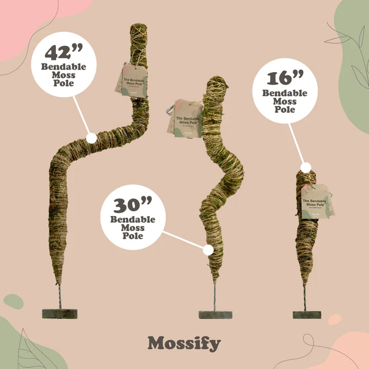 Mossify Bendable Poles (Moss/Coco Coir)